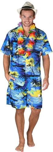 Hawaii Hemd Blau