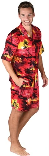 Hawaii Hemd Rot