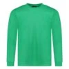 Shirt Grün Langarm